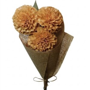rust carnation