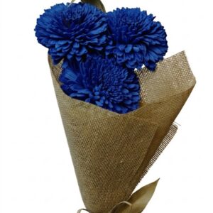 Navy zinniary flower