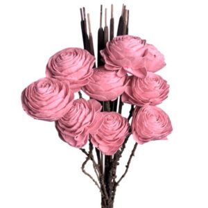 coral pink beauty rose with cattails