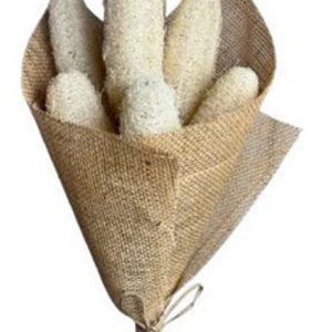 Natural luffa