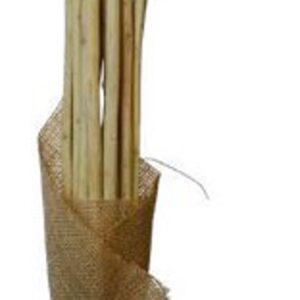 Corn yellow hogla stick