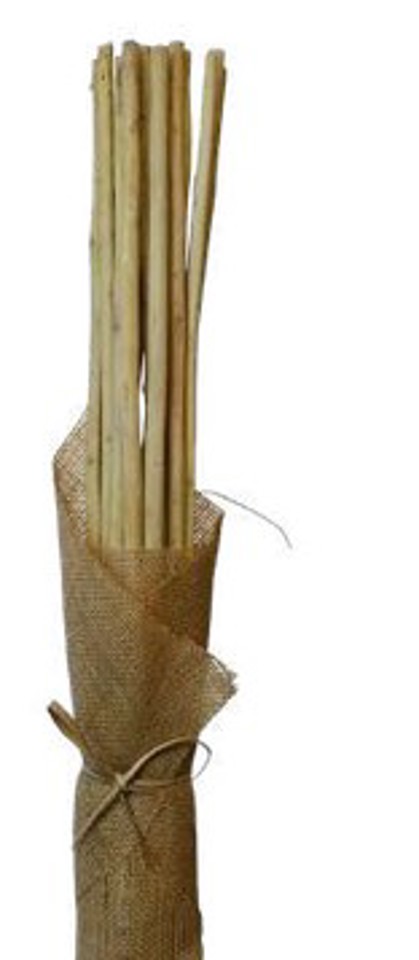 Corn yellow hogla stick