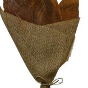 Natural palm net oak