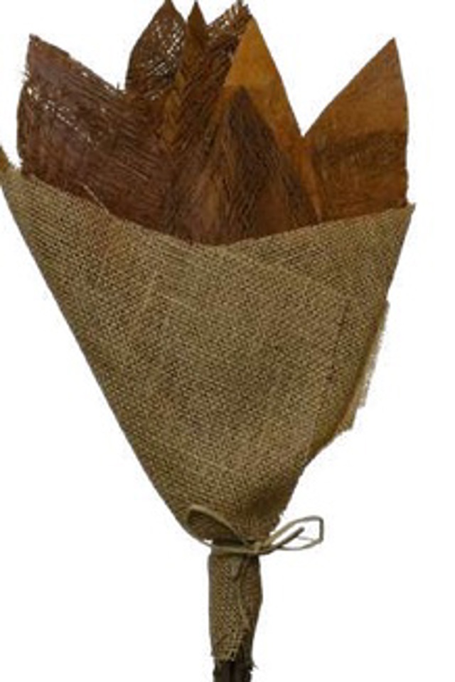 Natural palm net oak