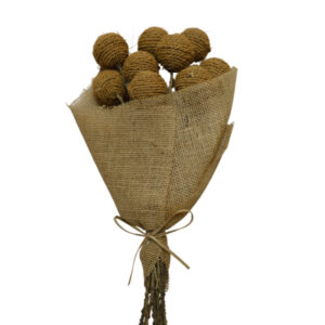 Natural coco rope ball