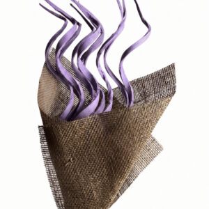 Lavender coco curly