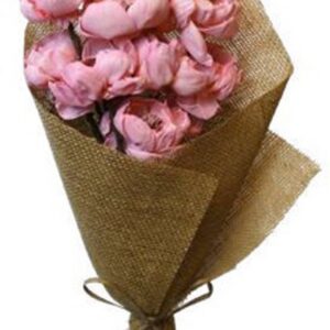 Coral pink lesser peony flower