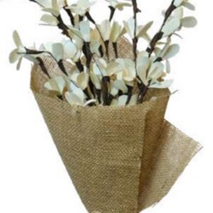 Natural palm lily branch