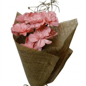 coral pink nayan flower