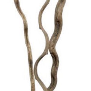 Natural sapla