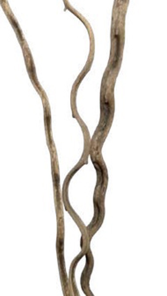 Natural sapla