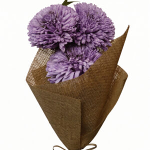 Lavender zinniary flower