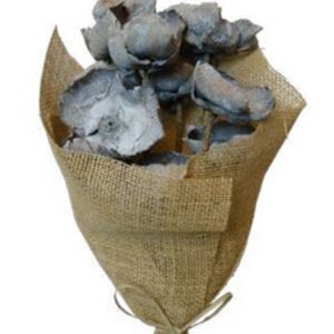 Grey palm caps