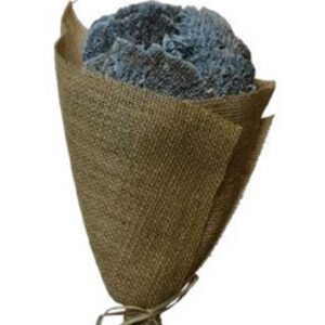 Grey sponge mushroom