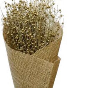 Gold 150grams lino grass