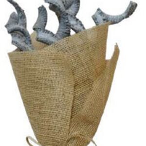 Grey palm cobra