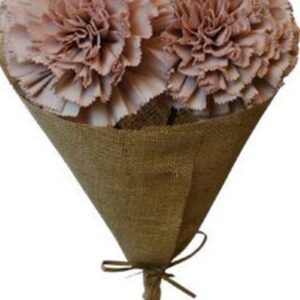 Old pink carnation with stem