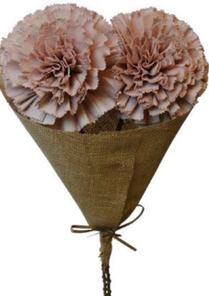 Old pink carnation with stem