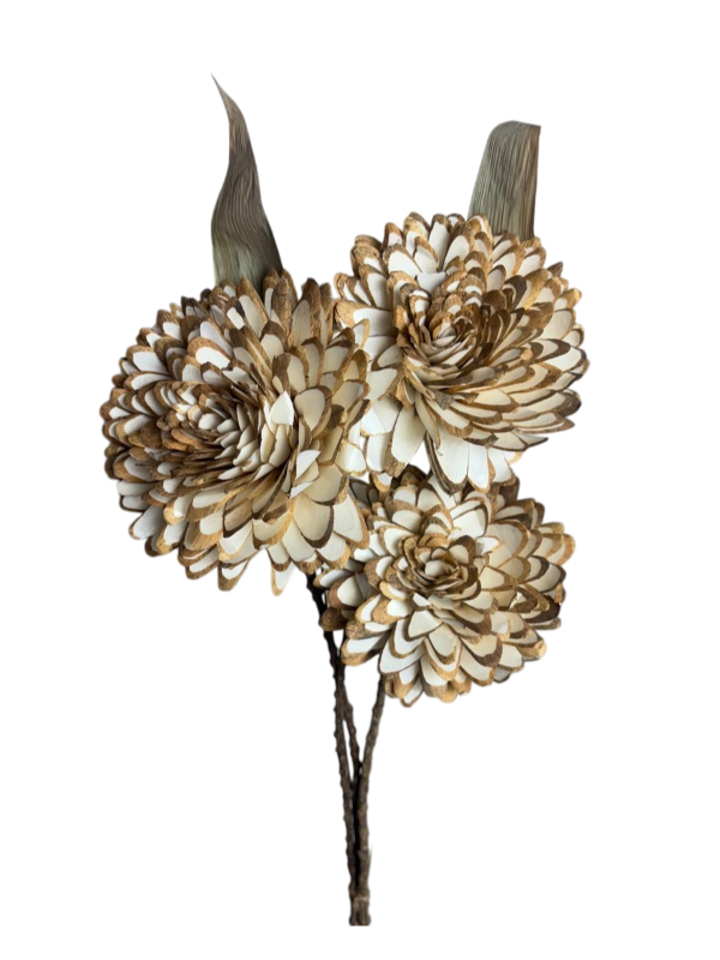 White slice flower