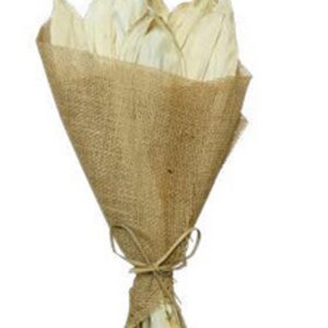 Natural nut leaves