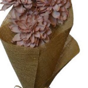 Old pink white spike flower