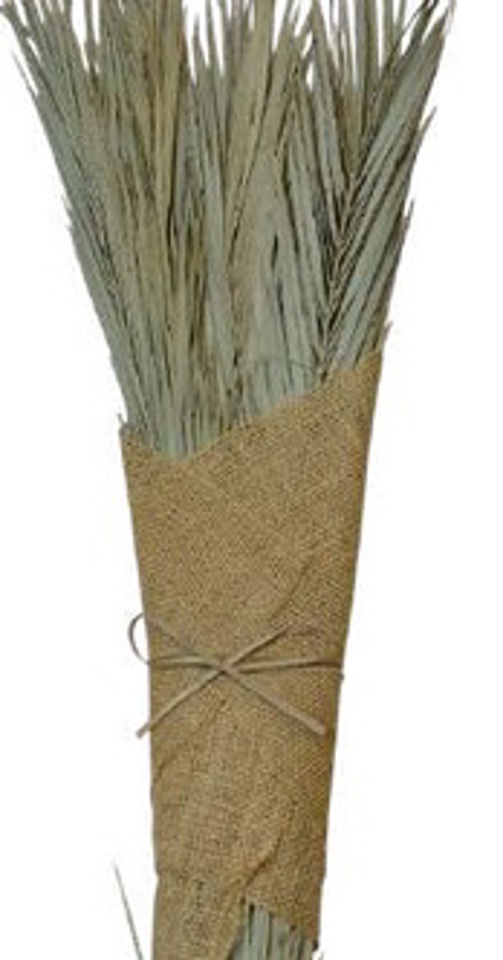 Natural date leaves