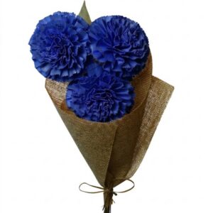 navy carnation with leaves