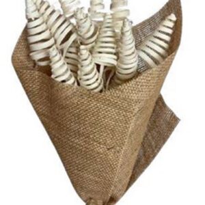 Natural cane cone