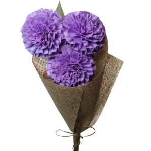 lavender carnation with leaves