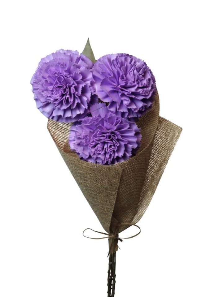 lavender carnation with leaves