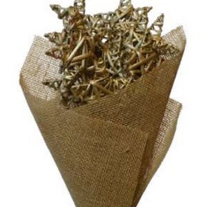 Gold kamboi star