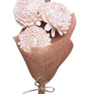 natural chrysanthemum