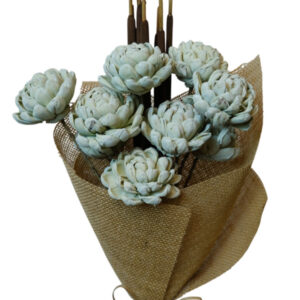 Sage green chrysanthemum