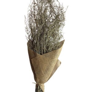 sage green 200gm alpha grass