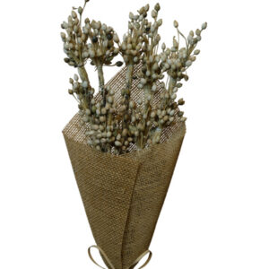 Natural moti triple bunch