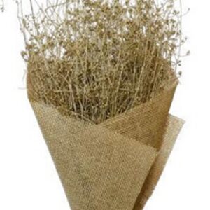 Gold 100gram parsi grass