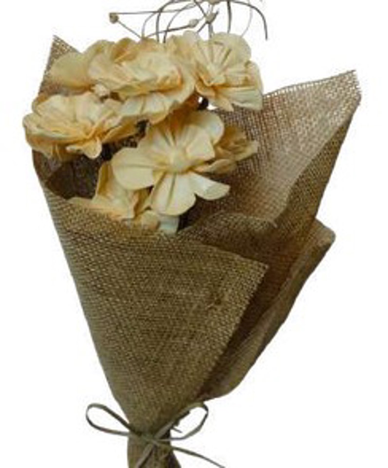 Corn yellow nayan flower
