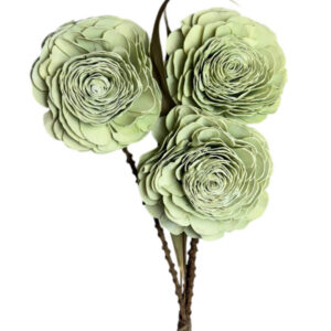 sage green beauty rose with leaves