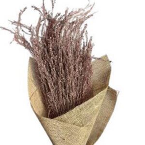 Old pink 150gram star grass