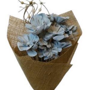 Grey hydrangea