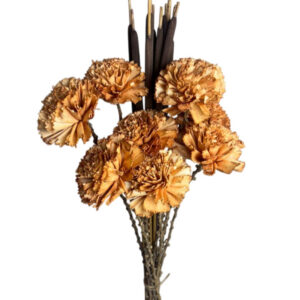 Rust carnation with cattails