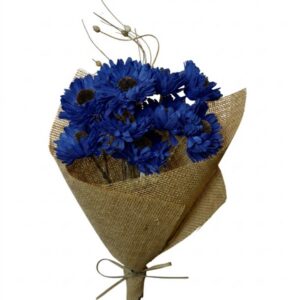 navy germini flower