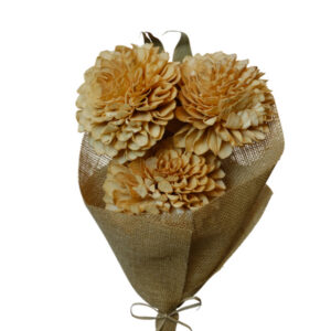 Rust dahlia flower
