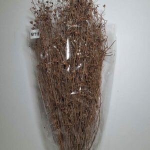 Peach 100gram parsi grass