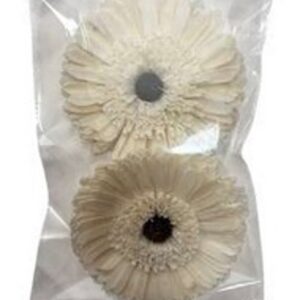 Bigger Germini flower bag