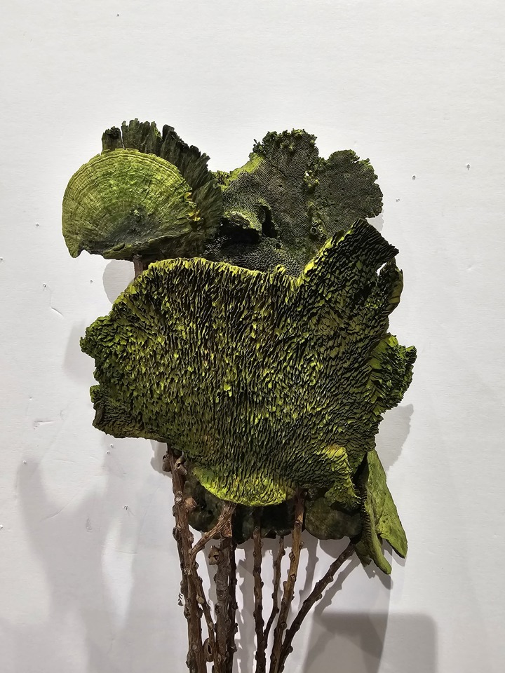Abundant green sponge mushroom
