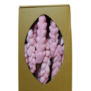 Pineapple tray