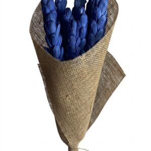 navy shola pineapple