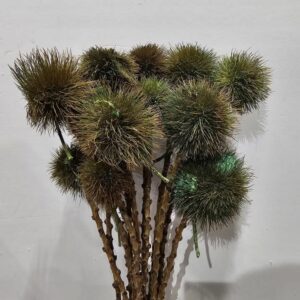 garden green kartoos pod