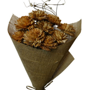 rust mixed bqt folded dahlia flower